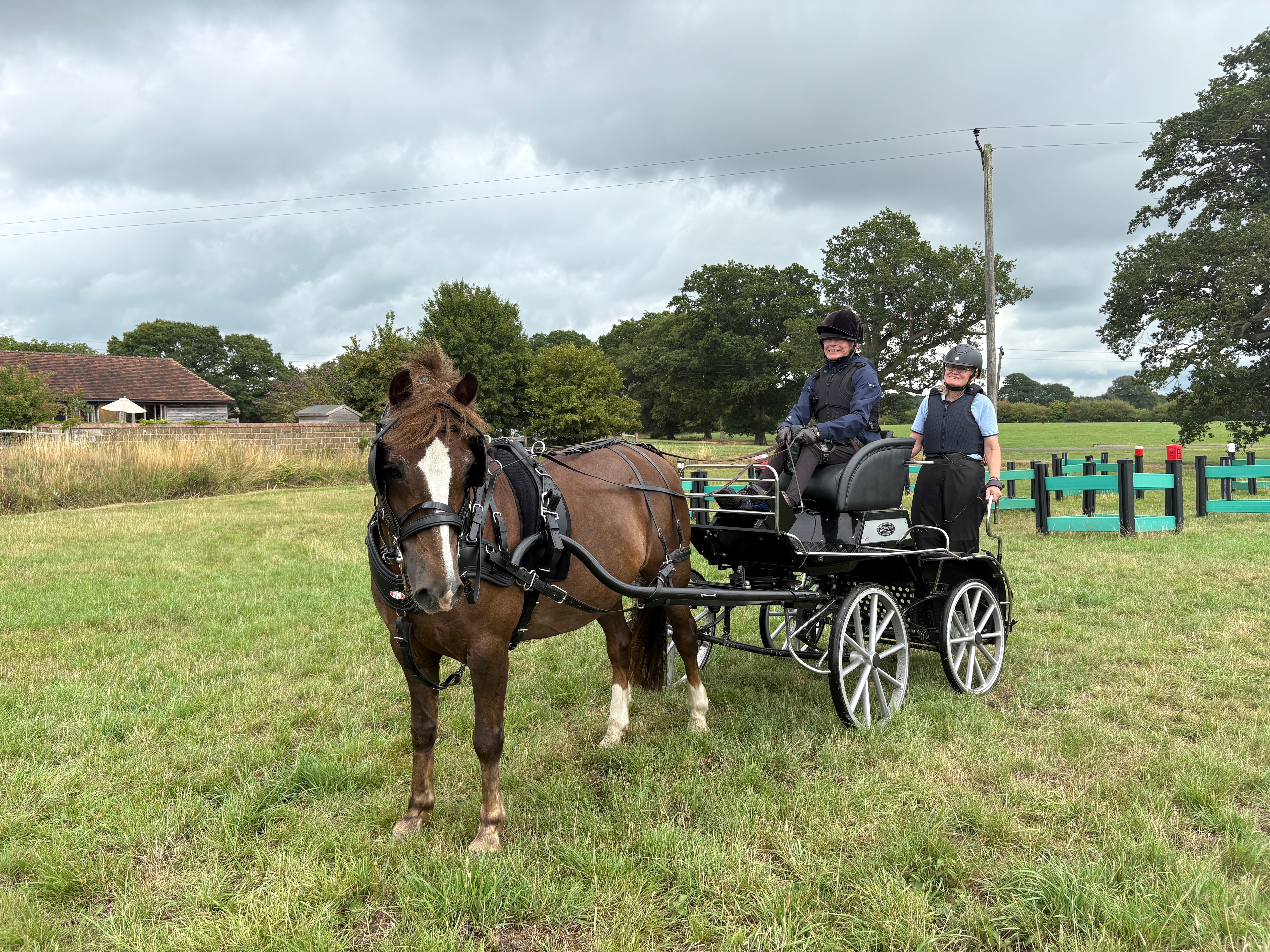 Supporting British Para Carriage Drivers on the Road to the World Championships