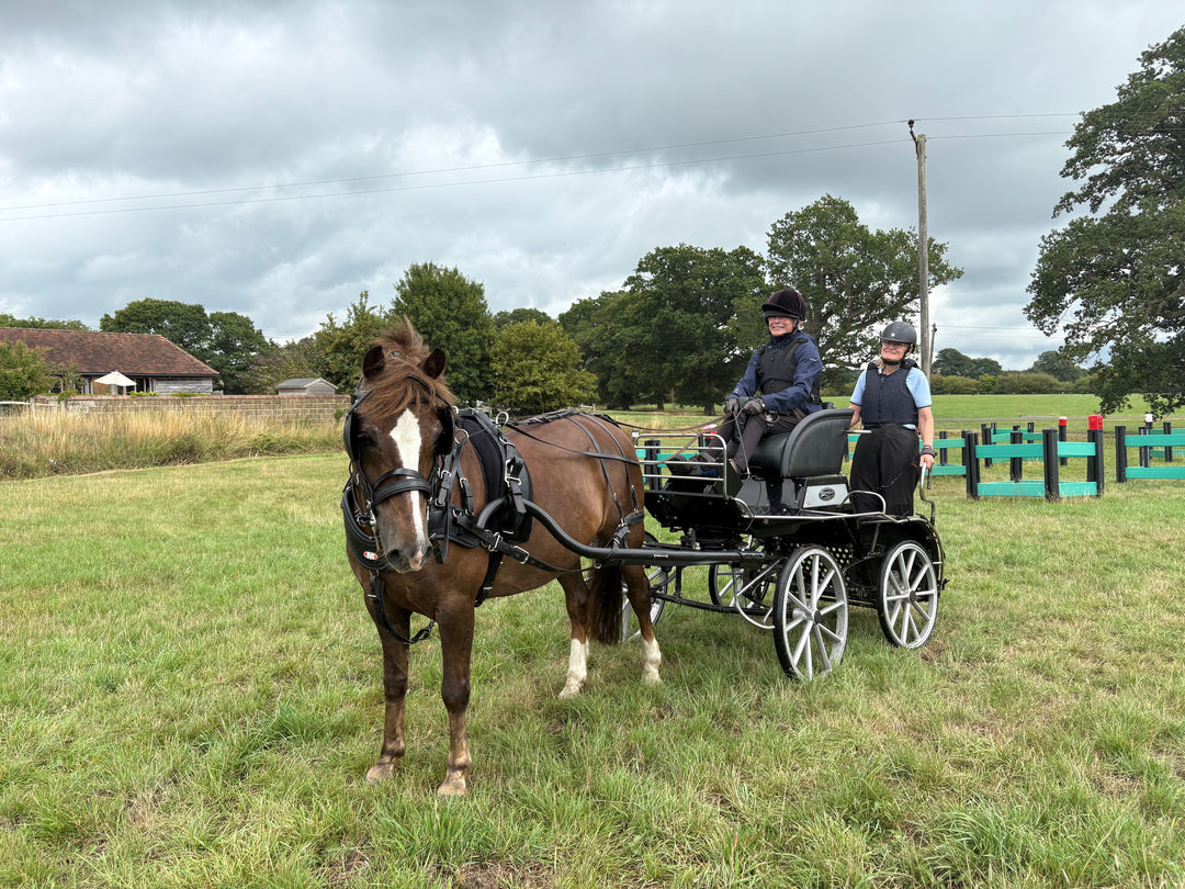 Supporting British Para Carriage Drivers on the Road to the World Championships