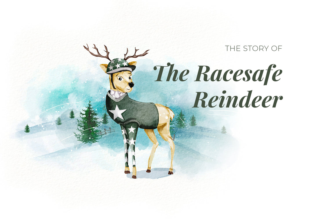 The Story of the Racesafe Reindeer