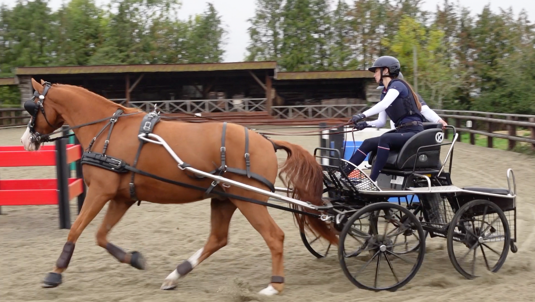 Racesafe Launches the HX3 Carriage