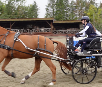 Racesafe Launches the HX3 Carriage