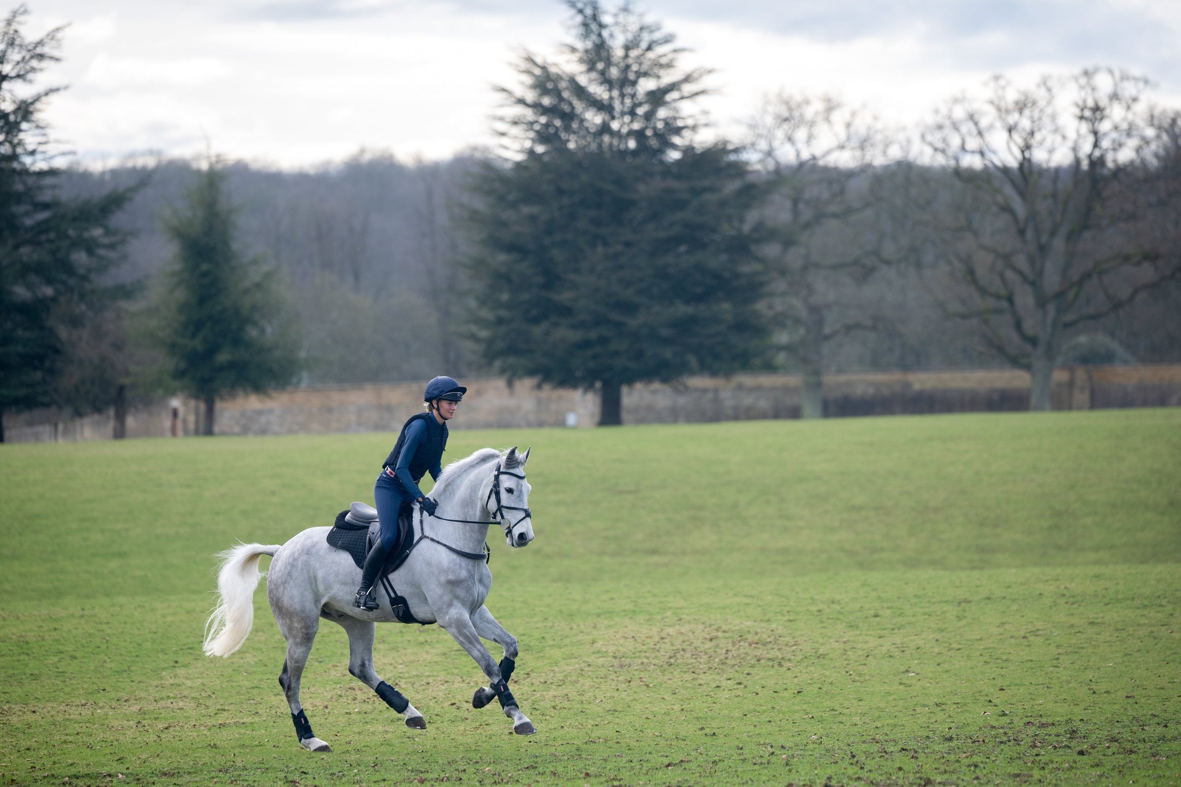 Leisure Riding