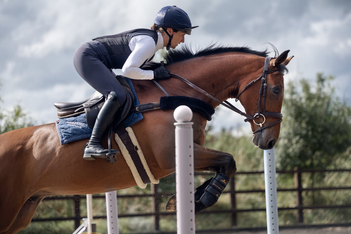 Show Jumping