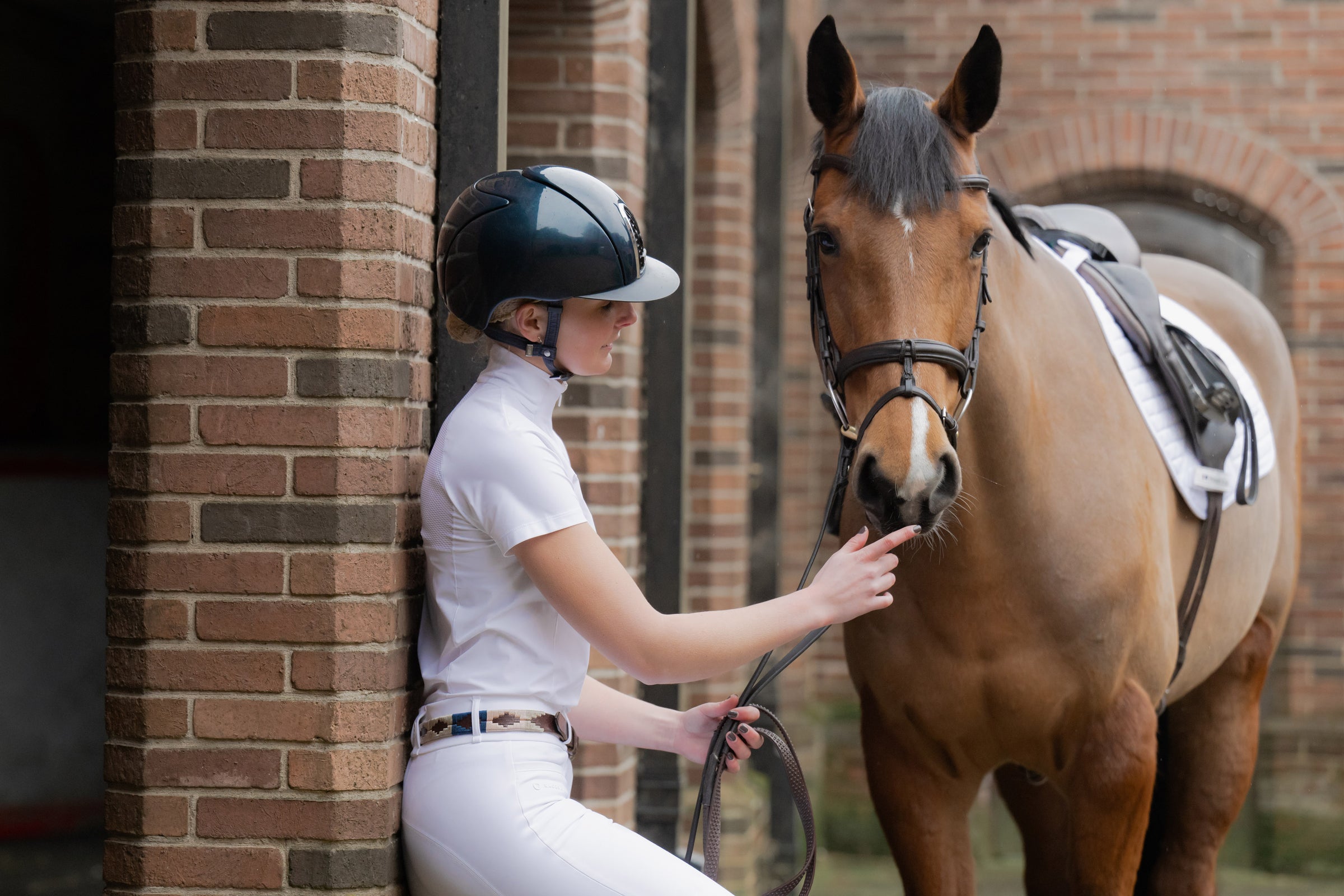 Bay Horse and Riding Wearing White Show Shirt and Breeches