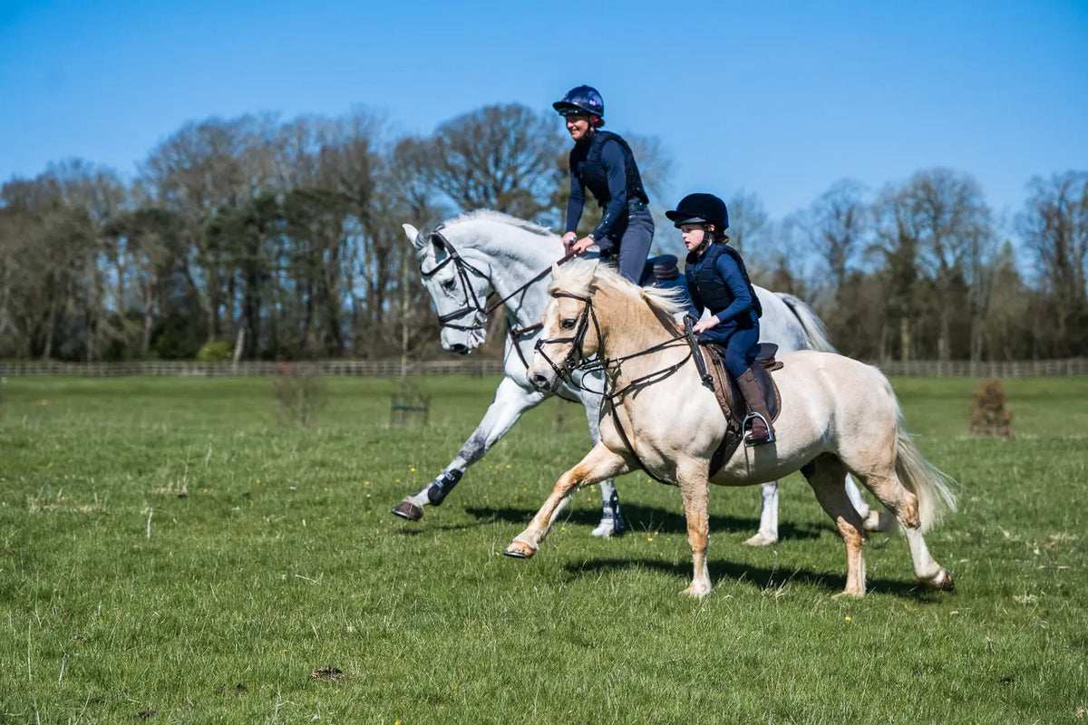 Two people riding horses in a grassy field with trees in the background