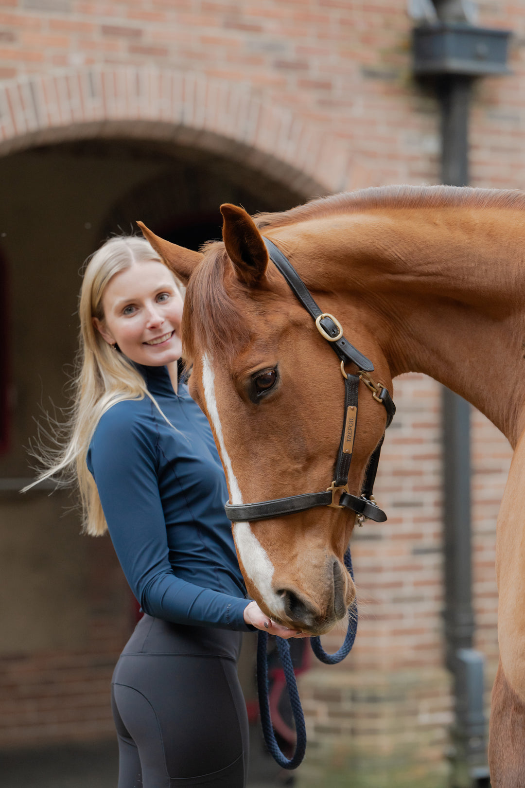 Baselayer and Horse