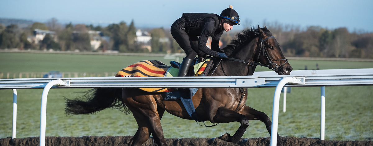 Racesafe | Horse Racing Body Protectors